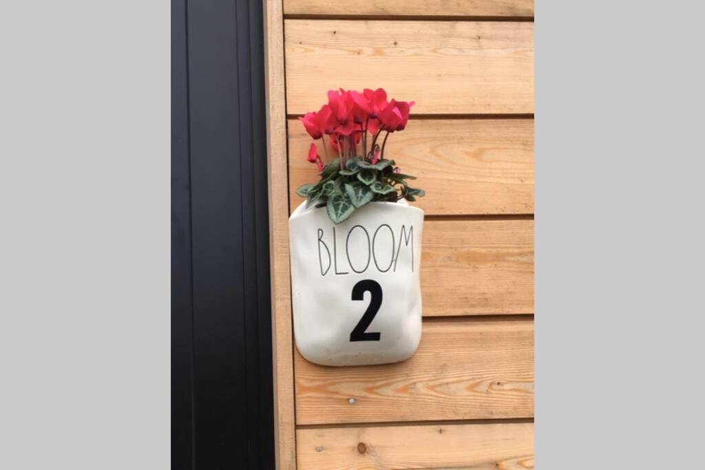 No.2 Bloom Apartments, Bath Dış mekan fotoğraf